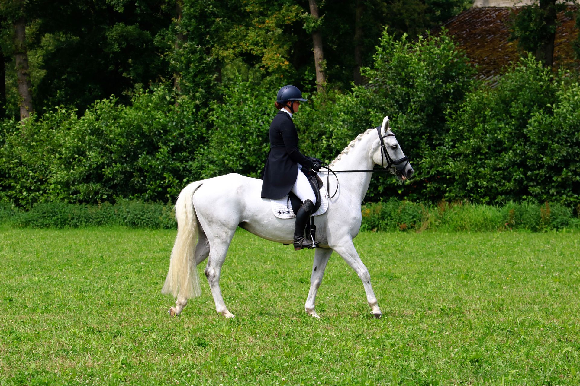 Dressuurruiter op een wit paard in een groene omgeving